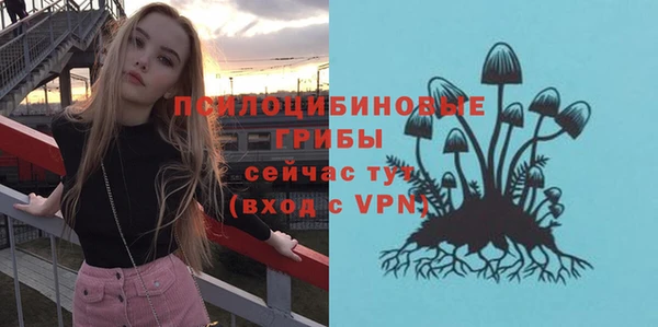 тгк Касимов