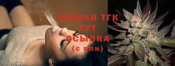 тгк Касимов