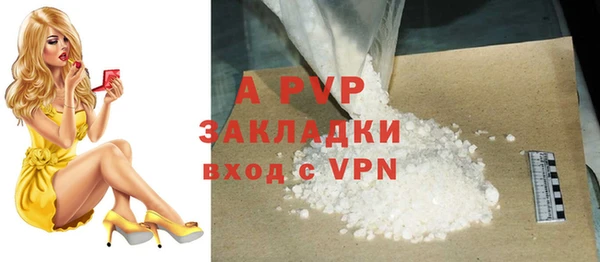 дмт Карпинск