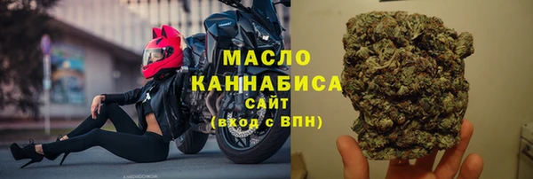 тгк Касимов