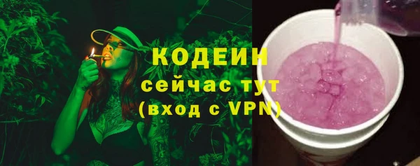 дмт Карпинск