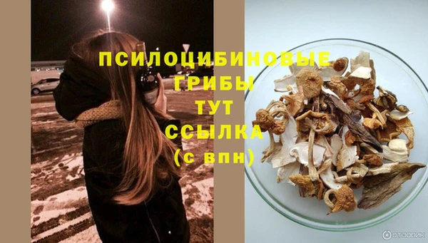спиды Киреевск