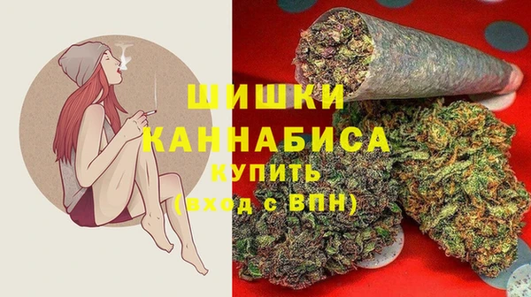 дмт Карпинск