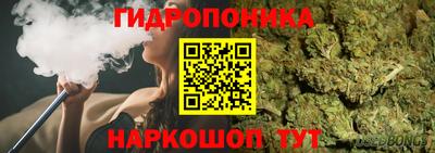 эйфоретик Дубна