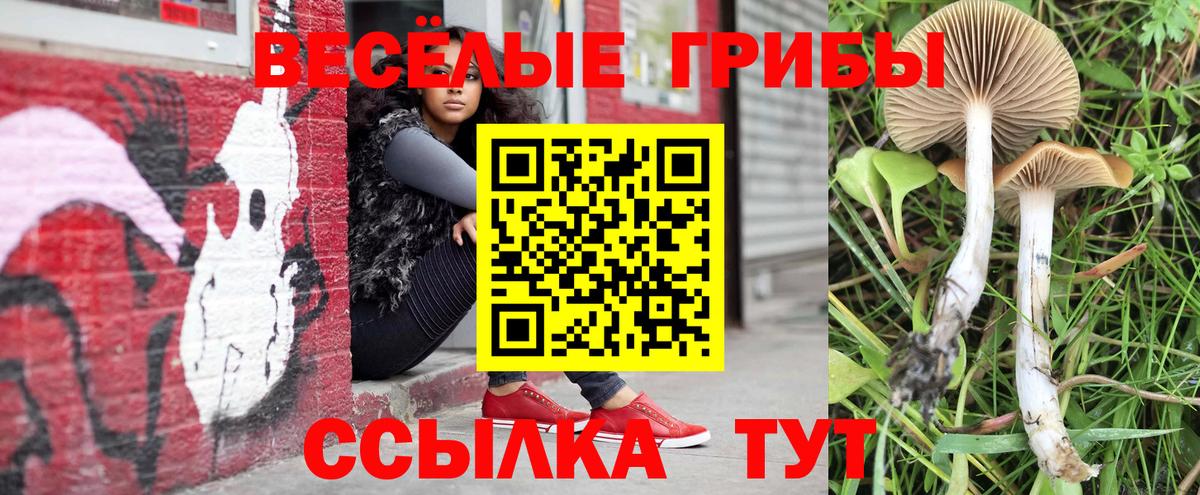 Кувандык  Галлюциногенные грибы мухоморы  Вход с VPN 