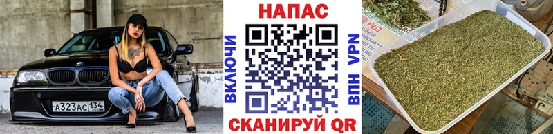 Конопля марихуана Кувандык